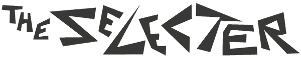 the-selecter-text